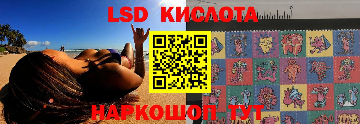 ЛСД экстази  ОМГ ОМГ как войти  Вход с VPN  Заволжье  ЛСД экстази кислота  LSD-25 экстази ecstasy 