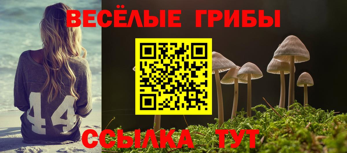 Галлюциногенные грибы Magic Shrooms  Псилоцибиновые грибы прущие грибы  Вход с VPN  Заволжье 