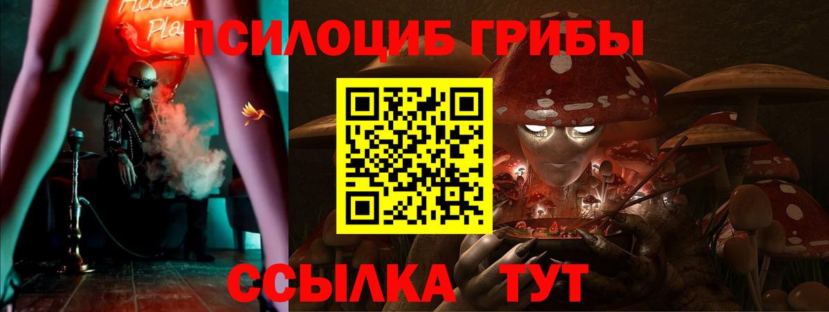 Галлюциногенные грибы GOLDEN TEACHER Заволжье